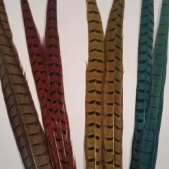 Chevron Cock Pheasant Tail Feather - Funky Fly Tying