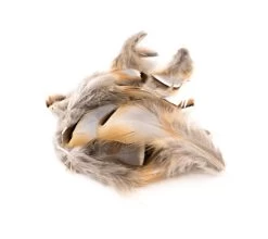 Chevron French Partridge Flank Loose Feathers - Funky Fly Tying