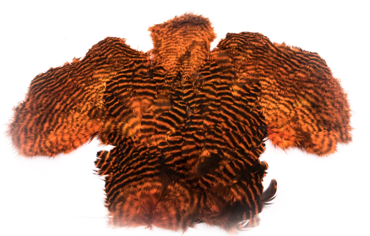 Chevron Chickabou Complete - Funky Fly Tying - Image 2