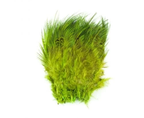 Fish Hunter Strung Ringneck Pheasant Rump Hackle - Funky Fly Tying - Image 4