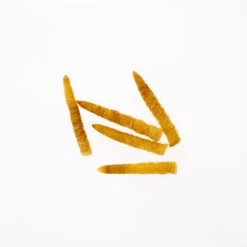 Funky Extended Caddis Fly Bodies (Large) - Funky Fly Tying