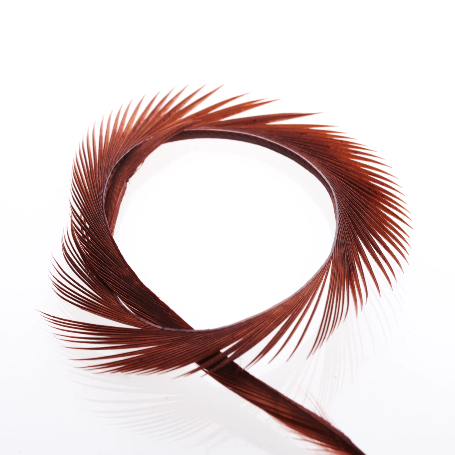 Funky Goose Biots - Funky Fly Tying - Image 5