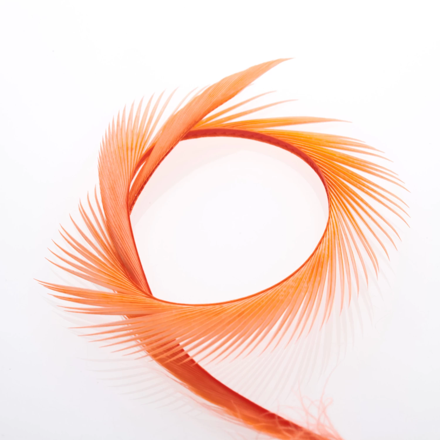 Funky Goose Biots - Funky Fly Tying - Image 9