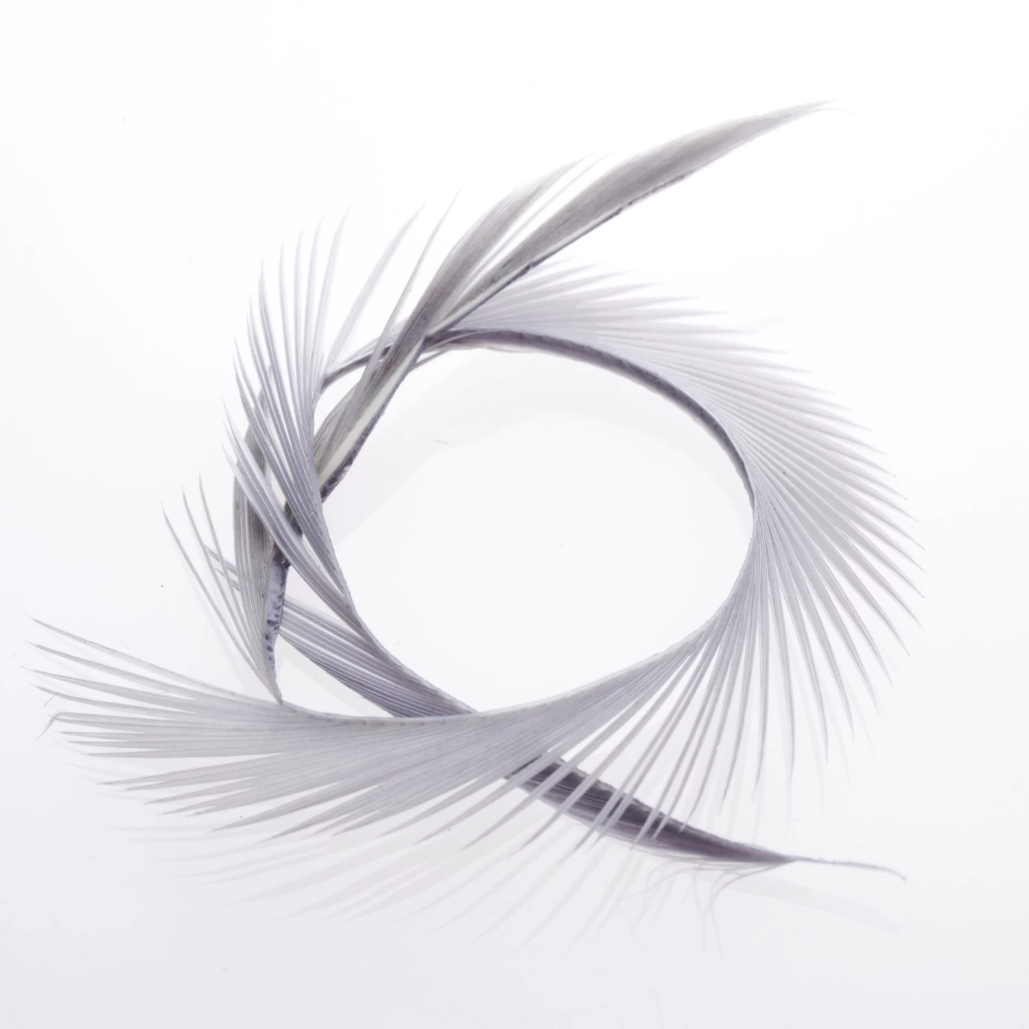 Funky Goose Biots - Funky Fly Tying - Image 15