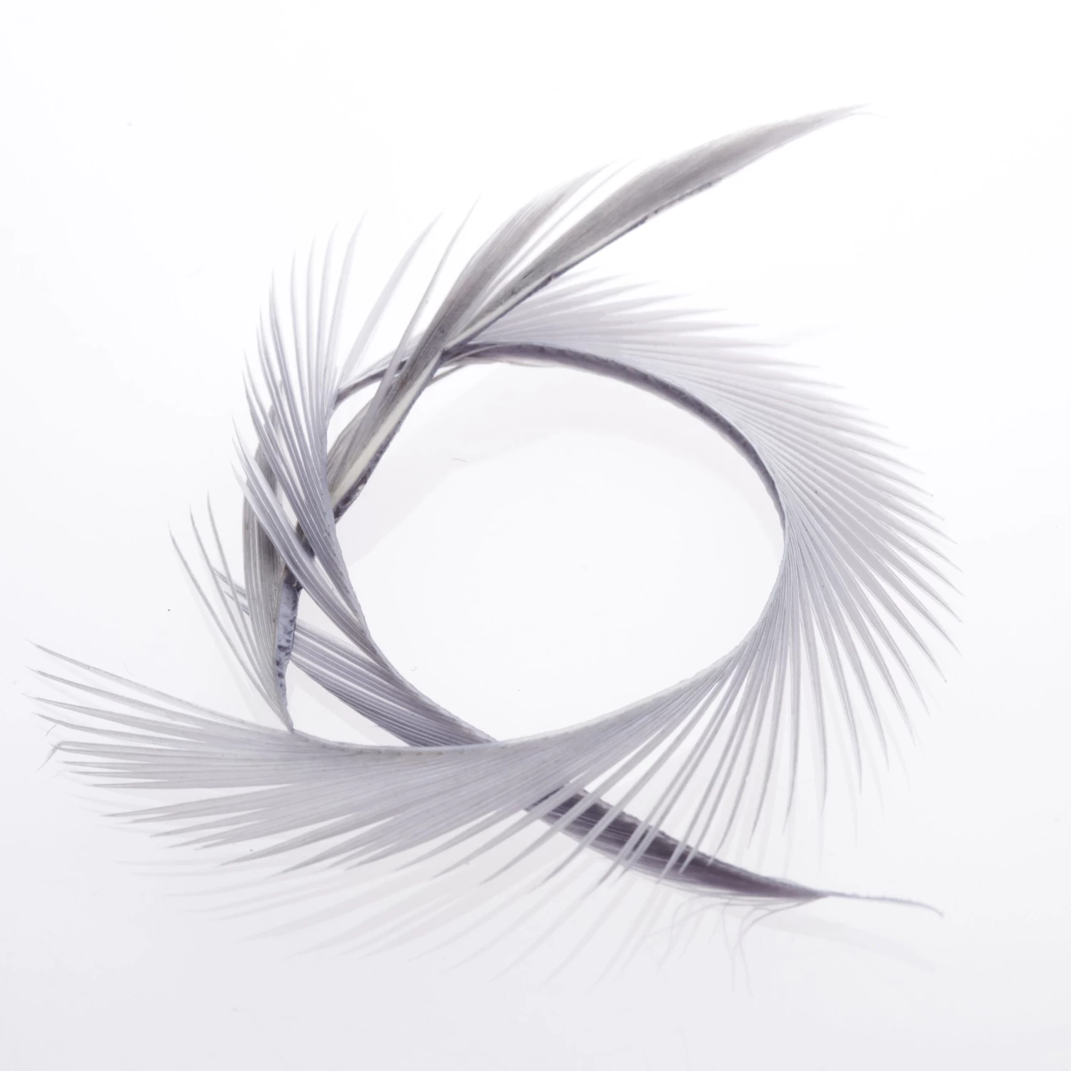 Funky Goose Biots - Funky Fly Tying - Image 16