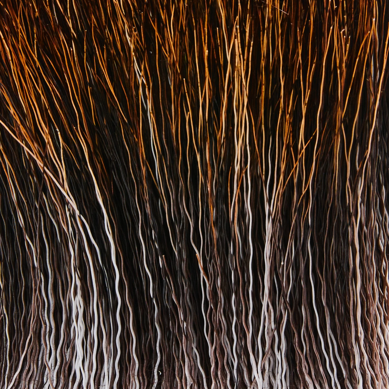 Funky Moose Main - Funky Fly Tying - Image 3