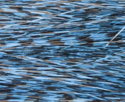 Hedron Magnum Black Barred Flashabou - Funky Fly Tying - Image 14