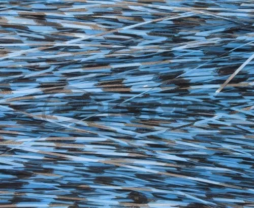 Hedron Magnum Black Barred Flashabou - Funky Fly Tying - Image 13