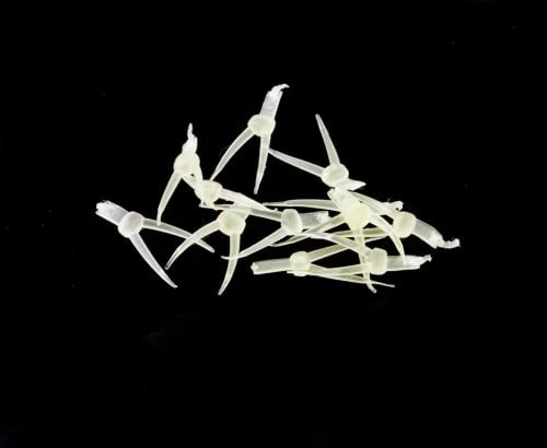 Hemingway's Stonefly Nymph Tails - Funky Fly Tying - Image 4