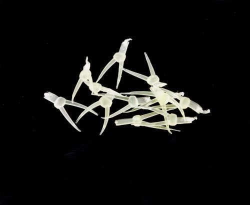 Hemingway's Stonefly Nymph Tails - Funky Fly Tying - Image 3