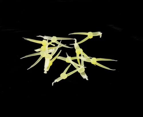 Hemingway's Stonefly Nymph Tails - Funky Fly Tying - Image 9