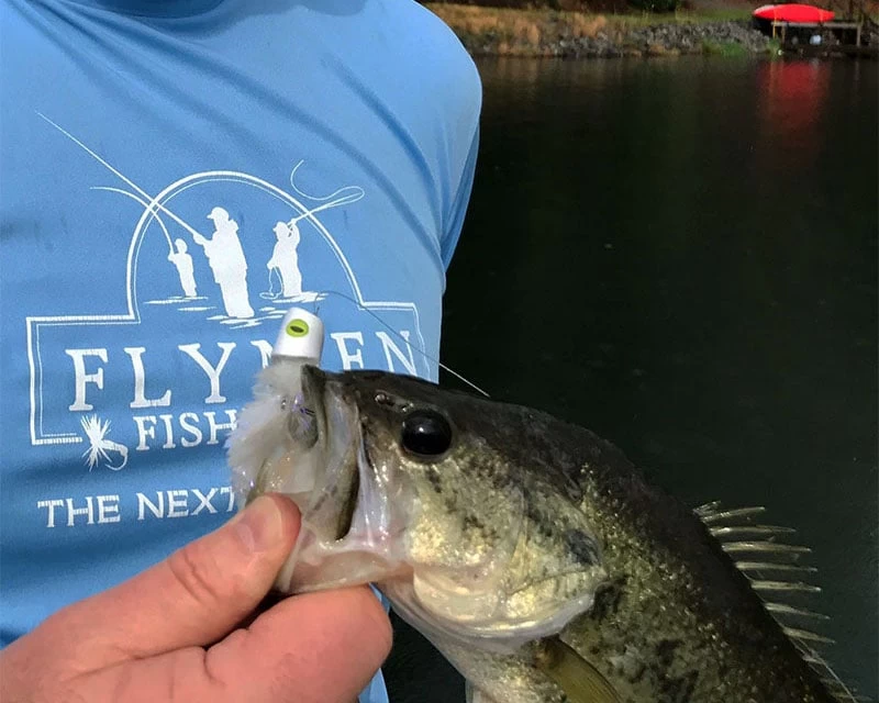 Flymen Surface Suducer Howitzer Baitfish Poper Head - Funky Fly Tying - Image 12