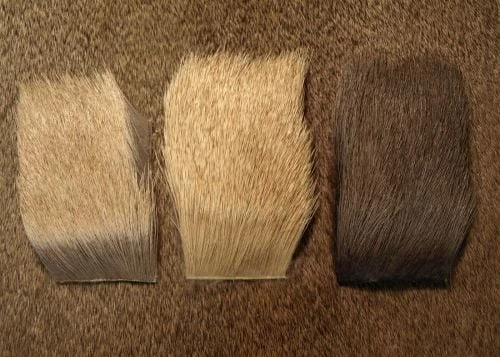 Nature's Spirit Bull Elk - Funky Fly Tying - Image 2