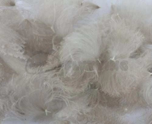 Nature's Spirit CDC Tufts (Oiler Puffs) - Funky Fly Tying - Image 8