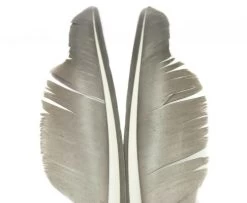 Nature's Spirit Goose Quills - Funky Fly Tying