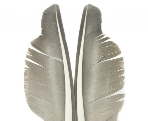 Nature's Spirit Goose Quills - Funky Fly Tying