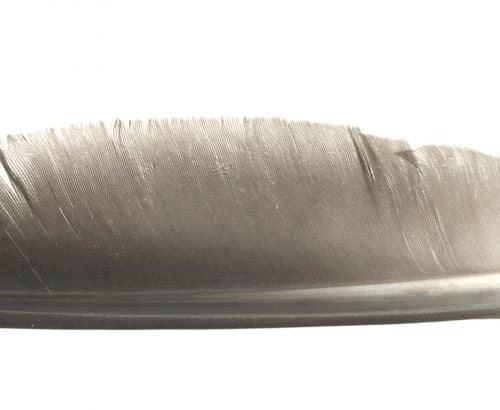 Nature's Spirit Goose Quills - Funky Fly Tying - Image 6