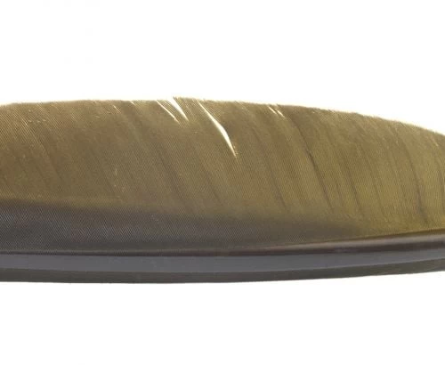 Nature's Spirit Goose Quills - Funky Fly Tying - Image 8