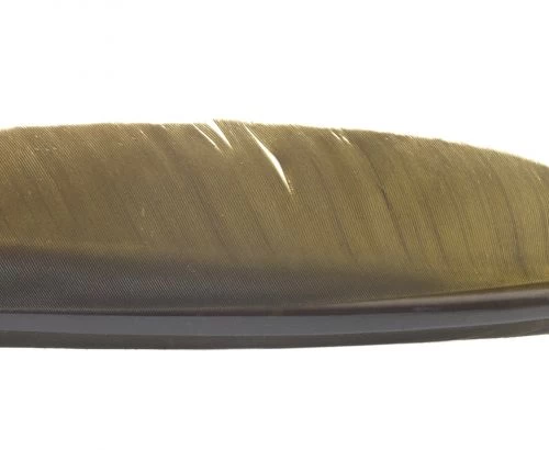 Nature's Spirit Goose Quills - Funky Fly Tying - Image 7