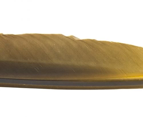 Nature's Spirit Goose Quills - Funky Fly Tying - Image 3