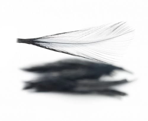 Nature's Spirit Dry Fly Tailing - Funky Fly Tying - Image 4