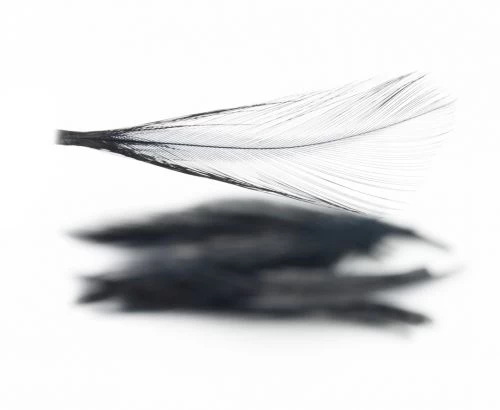 Nature's Spirit Dry Fly Tailing - Funky Fly Tying - Image 3