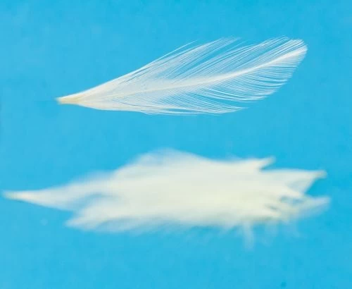 Nature's Spirit Dry Fly Tailing - Funky Fly Tying - Image 16