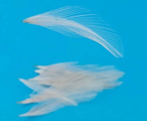 Nature's Spirit Dry Fly Tailing - Funky Fly Tying - Image 6