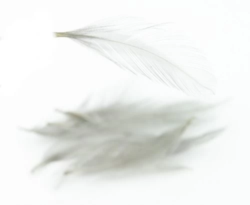 Nature's Spirit Dry Fly Tailing - Funky Fly Tying - Image 12