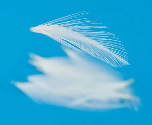 Nature's Spirit Dry Fly Tailing - Funky Fly Tying - Image 8