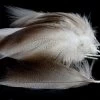 Nature's Spirit Dyed Bronze Mallard - Funky Fly Tying