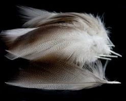 Nature's Spirit Dyed Bronze Mallard - Funky Fly Tying