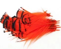 Nature's Spirit Lady Amherst Assorted Tippets Dyed - Funky Fly Tying