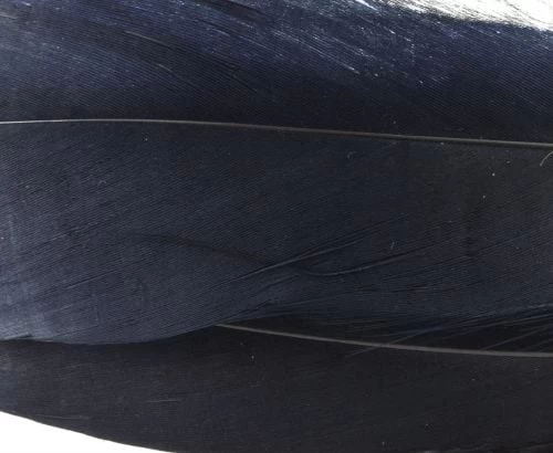 Nature's Spirit Select Goose Shoulder Feathers - Funky Fly Tying - Image 20