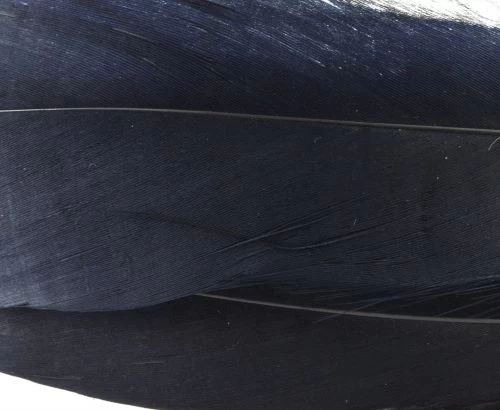 Nature's Spirit Select Goose Shoulder Feathers - Funky Fly Tying - Image 19