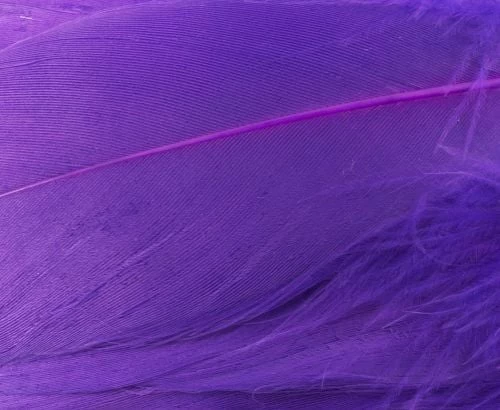 Nature's Spirit Select Goose Shoulder Feathers - Funky Fly Tying - Image 15