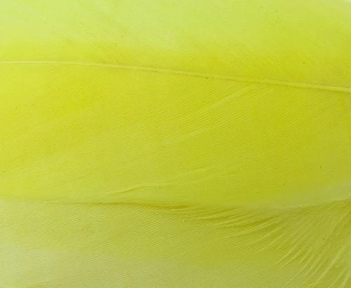 Nature's Spirit Select Goose Shoulder Feathers - Funky Fly Tying - Image 4