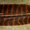 Nature's Spirit Select Wild Turkey Barred Biot Quills - Funky Fly Tying
