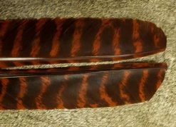 Nature's Spirit Select Wild Turkey Barred Biot Quills - Funky Fly Tying