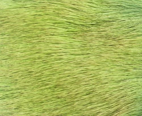 Nature's Spirit Spinning Cow Elk - Funky Fly Tying - Image 14