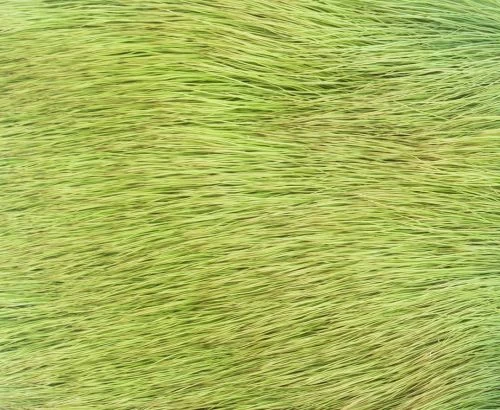 Nature's Spirit Spinning Cow Elk - Funky Fly Tying - Image 13