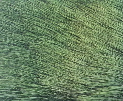 Nature's Spirit Spinning Cow Elk - Funky Fly Tying - Image 11