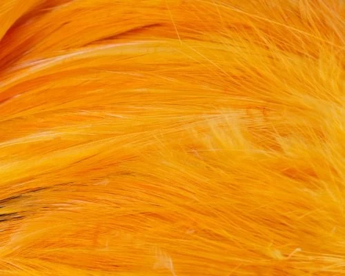 Nature's Spirit Strung Neck Hackle - Funky Fly Tying - Image 18