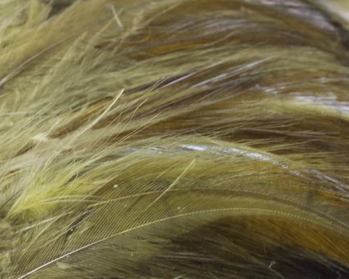 Nature's Spirit Strung Neck Hackle - Funky Fly Tying - Image 9