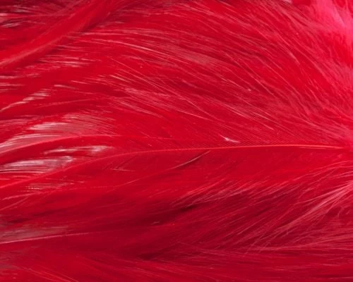 Nature's Spirit Strung Neck Hackle - Funky Fly Tying - Image 4