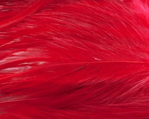 Nature's Spirit Strung Neck Hackle - Funky Fly Tying - Image 3