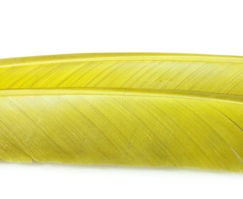 Nature's Spirit Turkey Biot Quills - Funky Fly Tying - Image 20