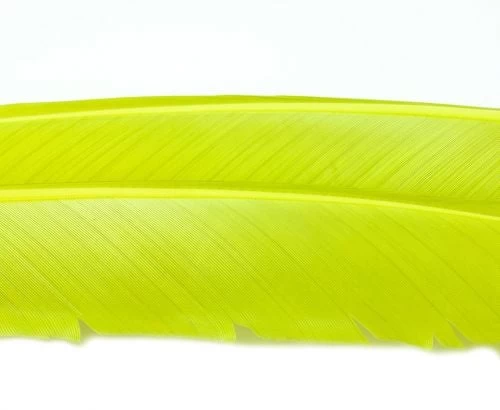 Nature's Spirit Turkey Biot Quills - Funky Fly Tying - Image 16