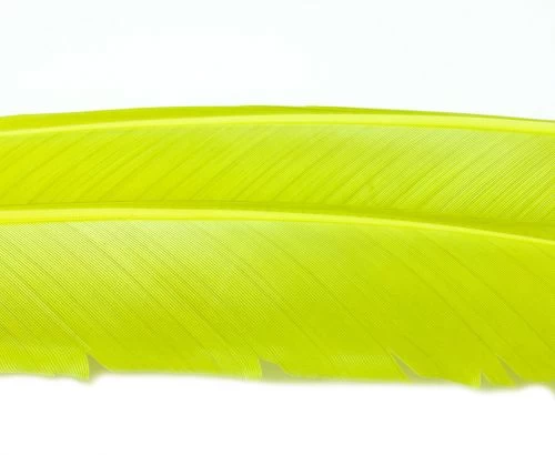 Nature's Spirit Turkey Biot Quills - Funky Fly Tying - Image 15