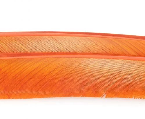 Nature's Spirit Turkey Biot Quills - Funky Fly Tying - Image 8